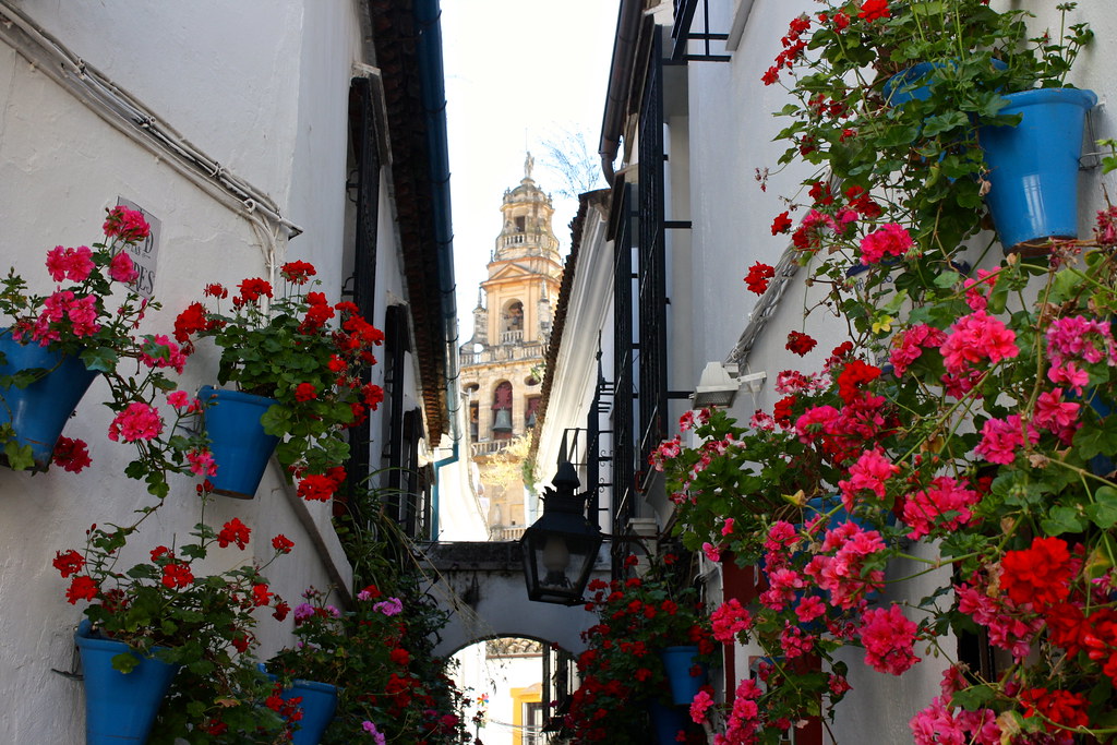 La Calleja de las Flores de Córdoba, con la torre de la Catedral de fondo.