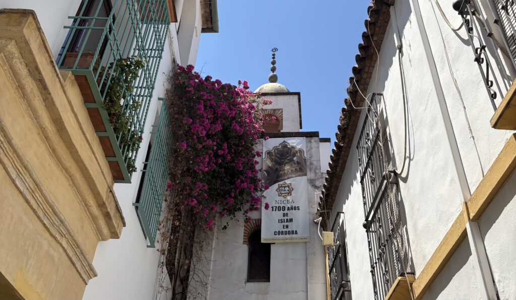 Calleja de la Hoguera de Córdoba.