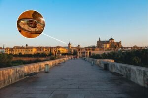 Comida halal en el centro de Córdoba, cerca de la Mezquita.